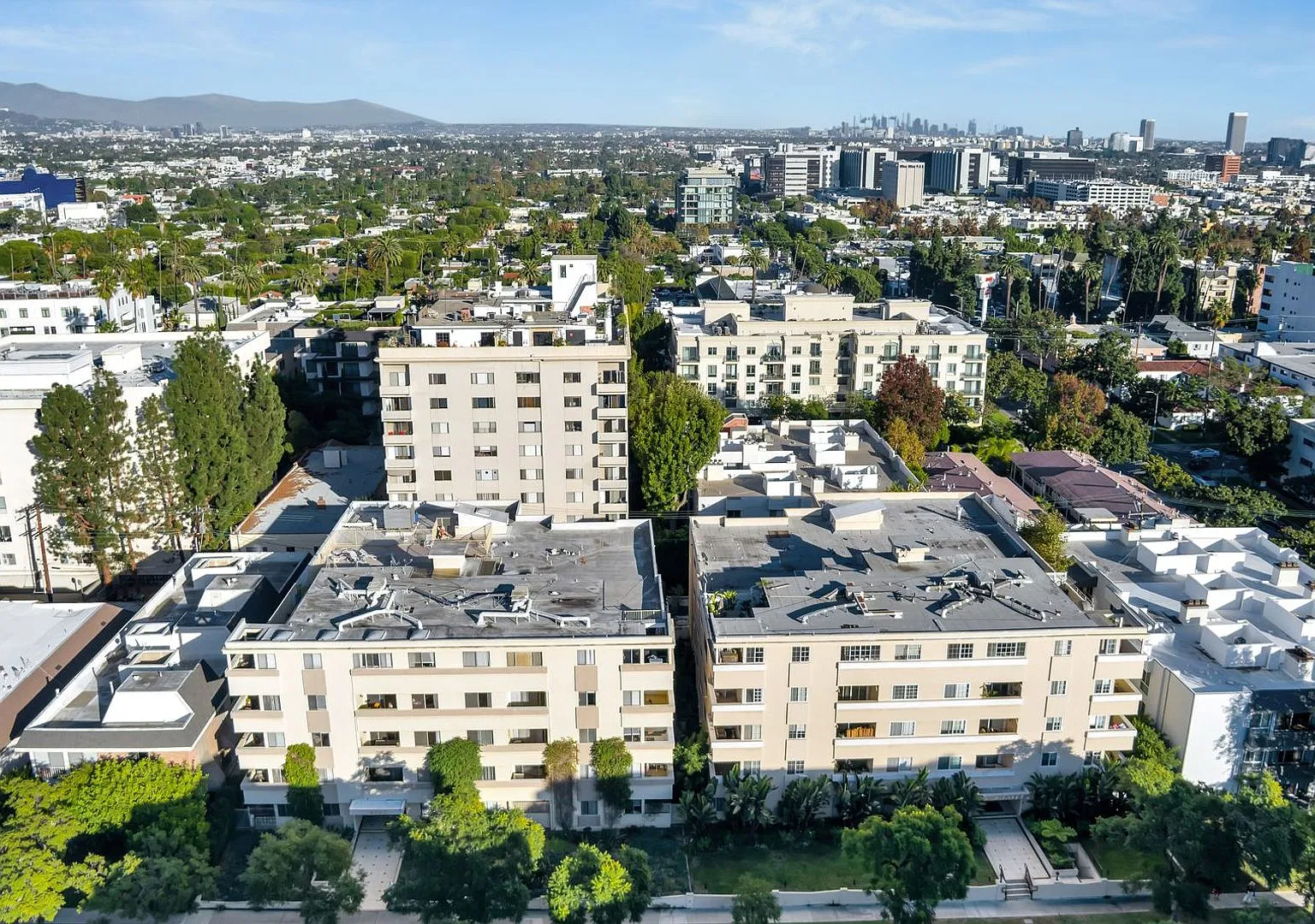Palm Luxury Investments Llc. — Photo 3