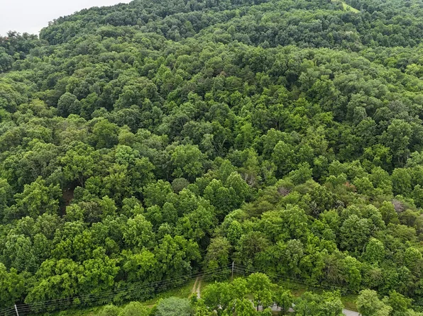 Fortunato Dr, White Pine, TN 37890