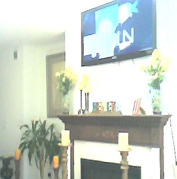 Living roomFireplace with TV