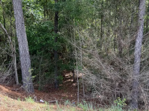 0 Live Oak Rd, Luverne, AL 36049