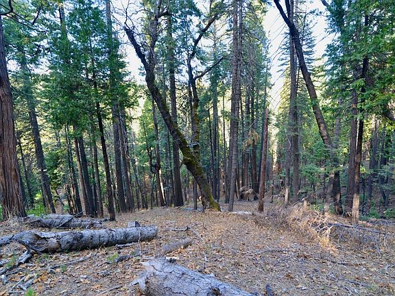 5th image of 1519 Coniferous Dr #349