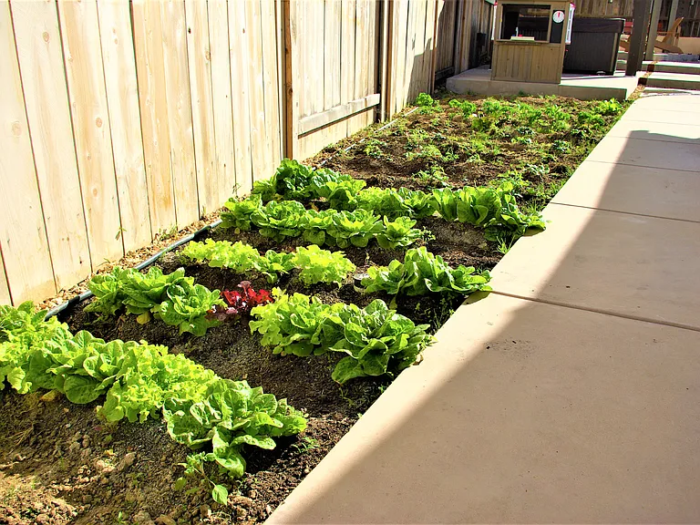 10153 Hendricks Ct #1 — Photo 38