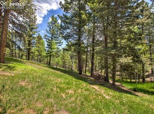 170 Lake Cir, Divide, CO 80814