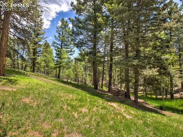 170 Lake Cir, Divide, CO 80814