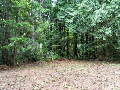 51 N Trail Head Loop, Lilliwaup, WA, 98555