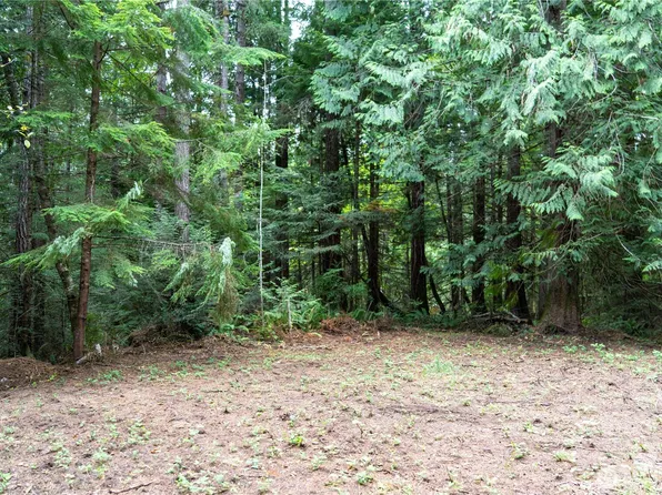 51 N Trail Head Loop, Lilliwaup, WA 98555