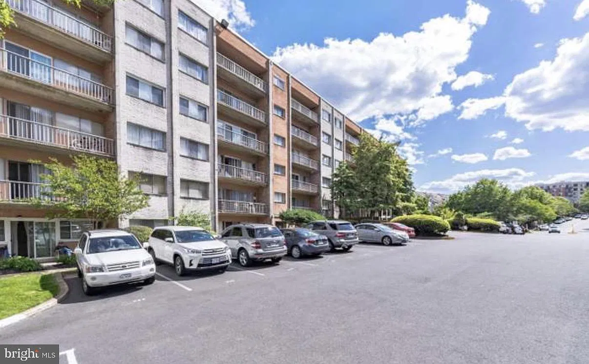 2 bed, 1.0 bath, 800 sqft, $2,300 — Photo 2