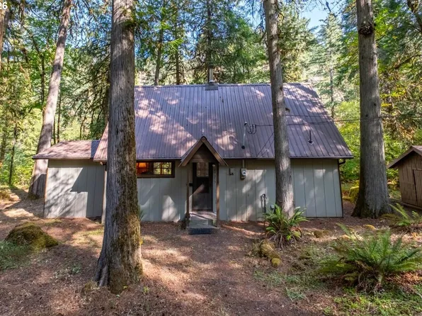 49053 Salt Creek Rd, Oakridge, OR 97463