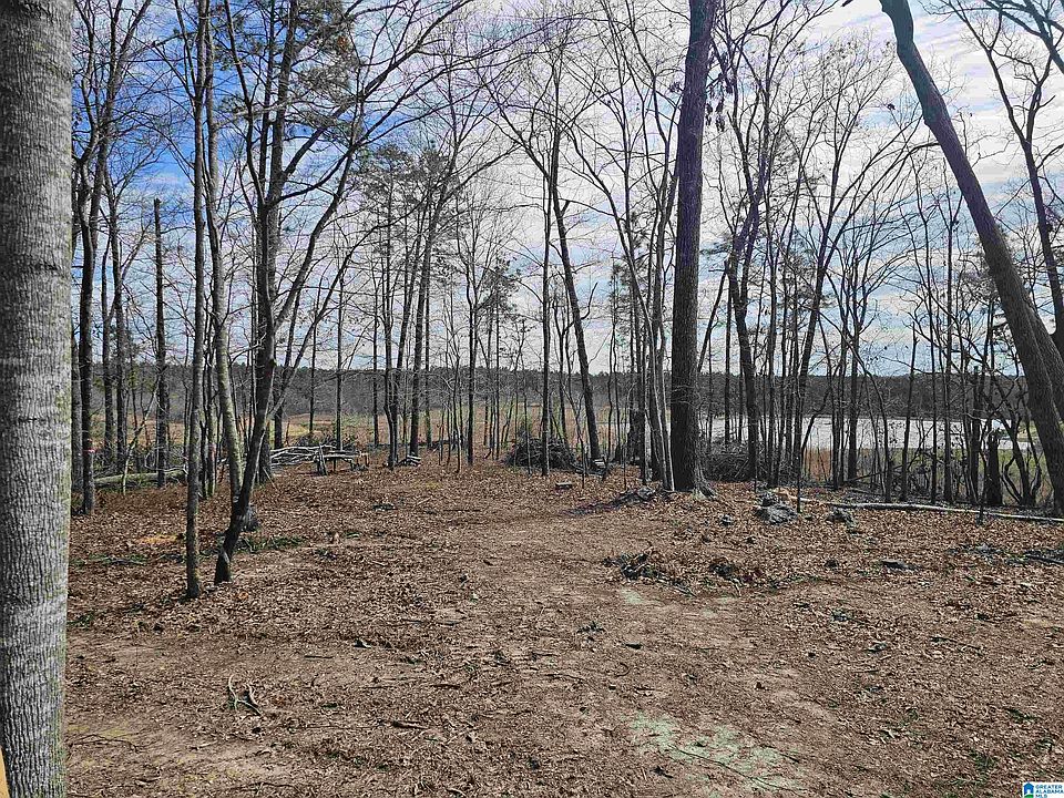 2546 County Road 80 0, Muscadine, AL 36269 Zillow