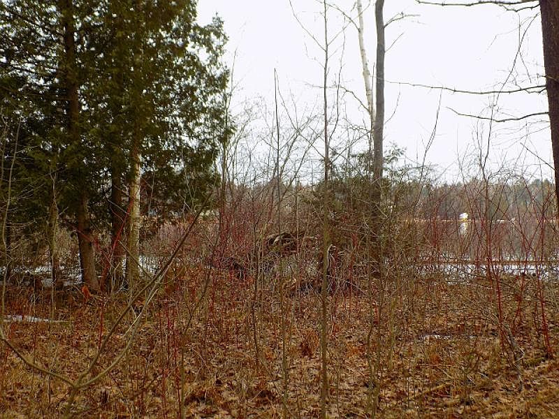 2nd image of 4655 E Cedar Lake Dr