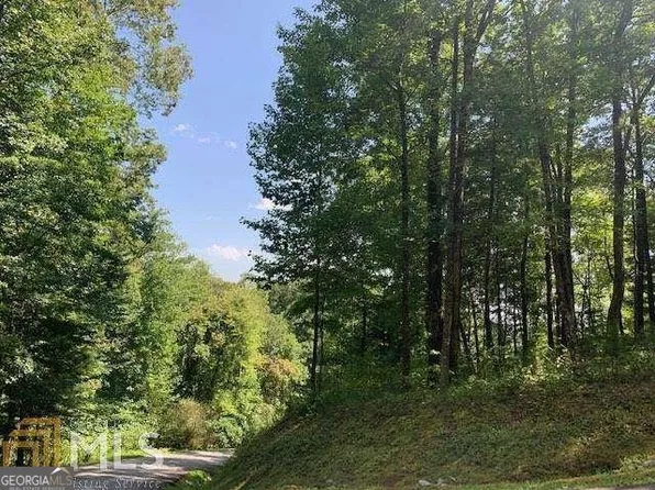 0 Yellow Trillium Lot 13, Clayton, GA 30525