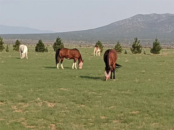 32 County Road 28, Stanley, NM 87056