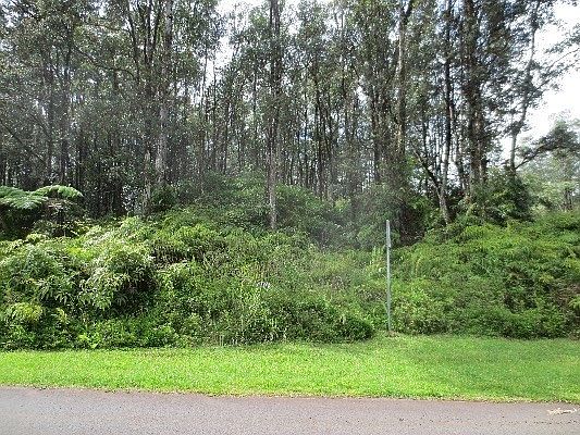 2nd image of Coconut Dr