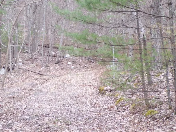 Tbd Callalantee Dr, Mountain City, TN 37683