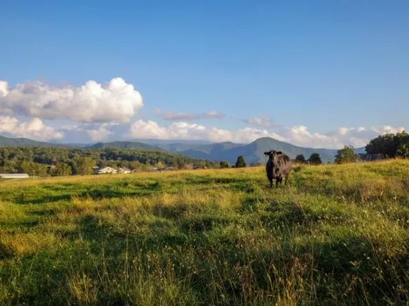 N Lee Hwy, Raphine, VA 24472