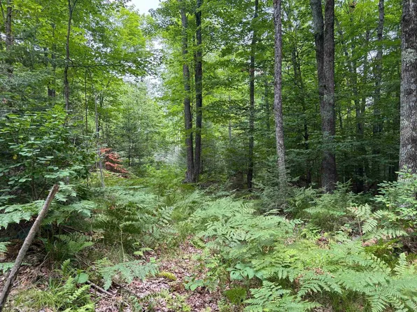 30 acres East Oneida Lane, Rhinelander, WI 54501