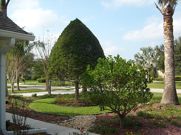 5th image of 1840 Winding Ridge Cir SE