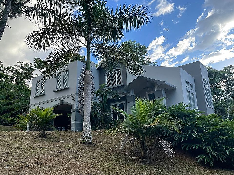 Road 156 KM41.1, Aguas Buenas, PR 00703 Zillow