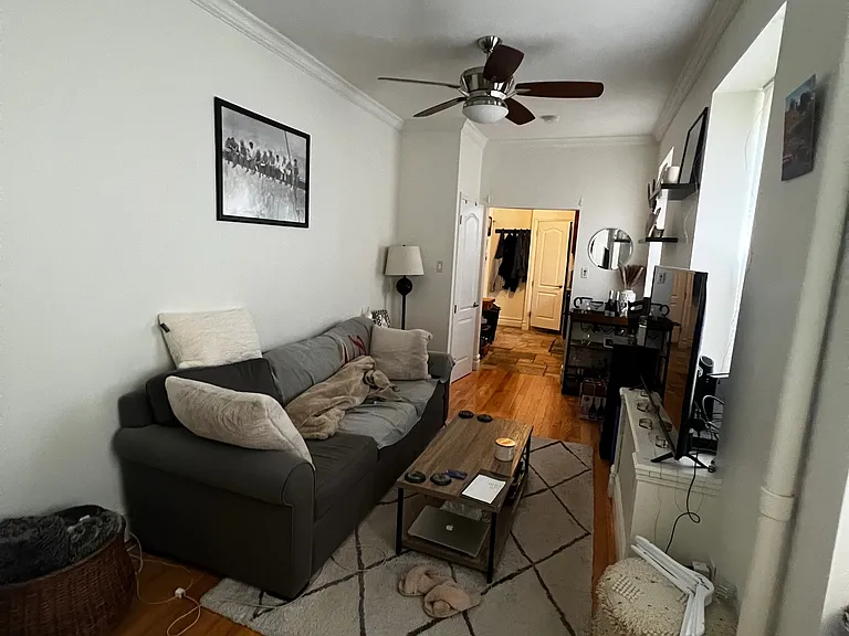 328 E 66th St #1 — Photo 5