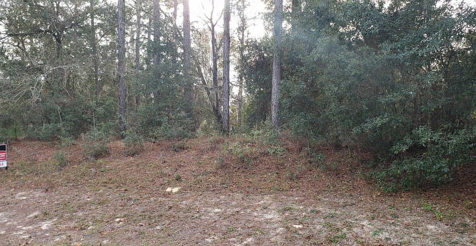 2nd image of SW 93rd Lane Rd