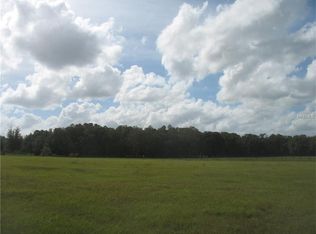 6810 McIntosh Skyview Ln, Thonotosassa, FL 33592