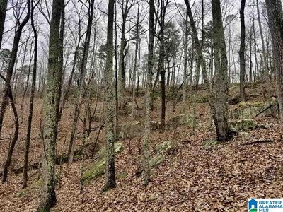 21 State Highway 26, Blountsville, AL, 35031