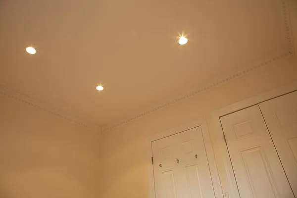 Rented by Distinct NYC | media 60