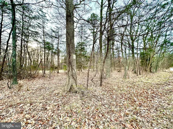 4 N Timber Ridge Rd, Cross Junction, VA 22625