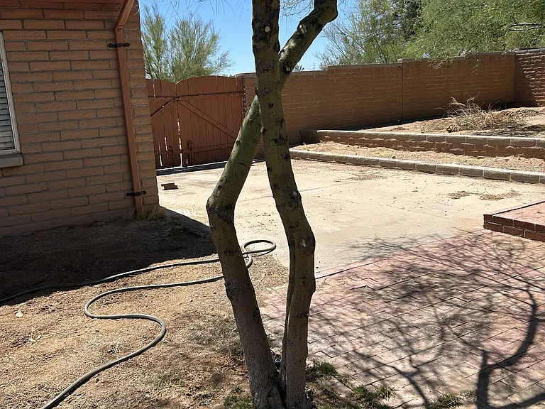 11830 N Joi Dr — Photo 27