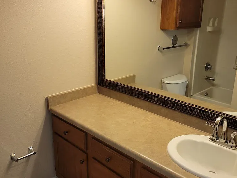 3901 Sonoma Springs Ave #1503 — Photo 14