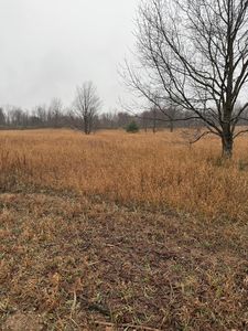Tannerville Rd, Kaleva, MI, 49645
