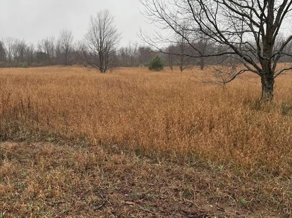 Tannerville Rd, Kaleva, MI 49645