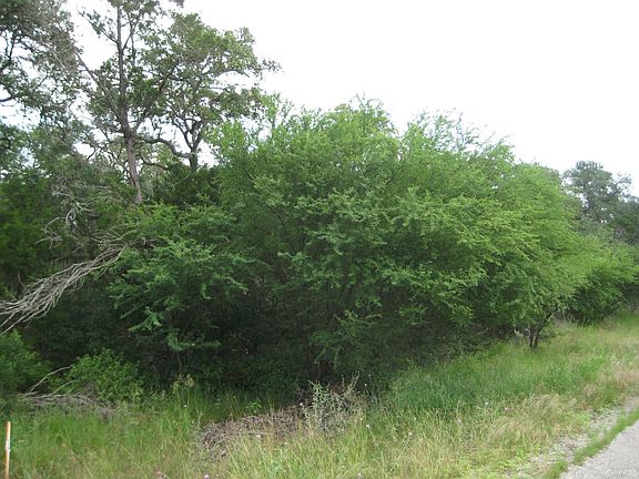 Different Types of Trees also
