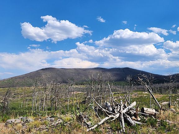 2nd image of 529 Quartz Rd