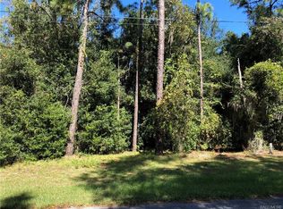 6667 E Haynes Ln, Inverness, FL 34452