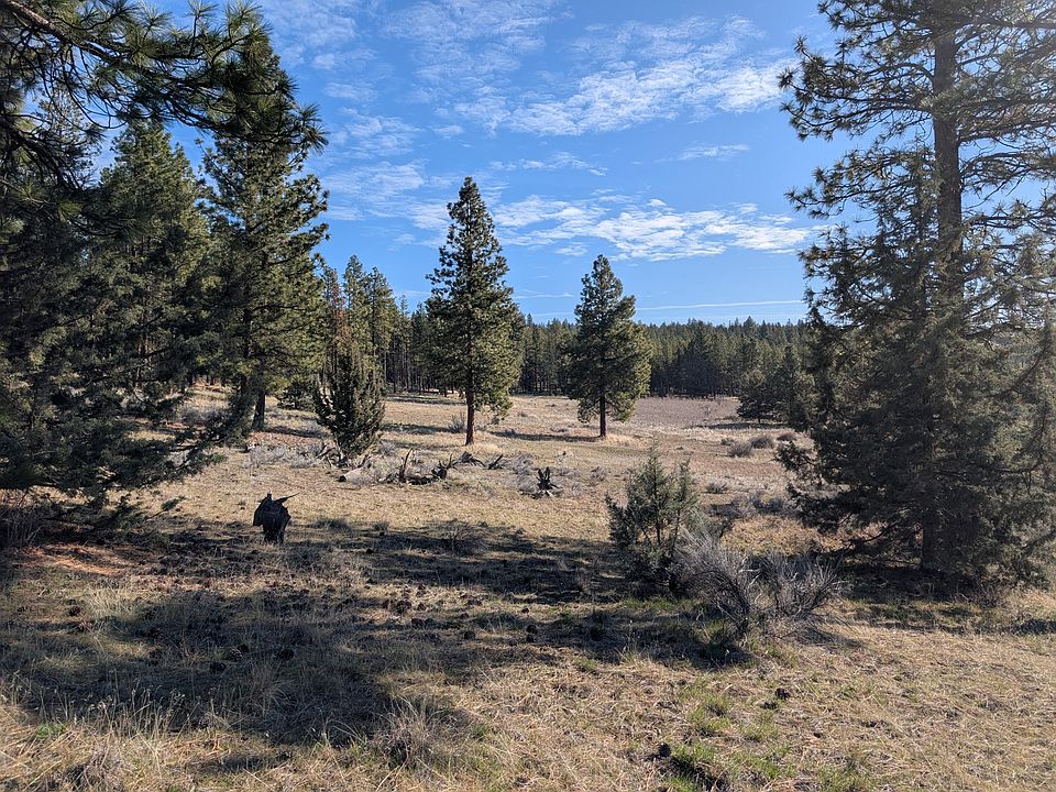 1st image of 28660 Yonna Wood Rd