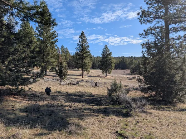 28660 Yonna Wood Rd, Bonanza, OR 97623
