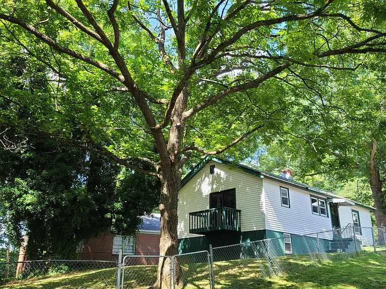 Large back yard