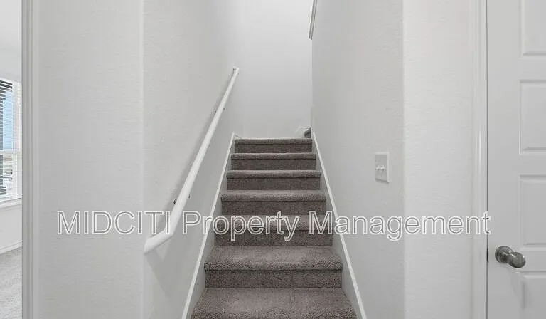 966 Bluegrass Point #NEW BRAUNFELS — Photo 25