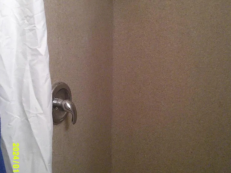 master bedroom shower