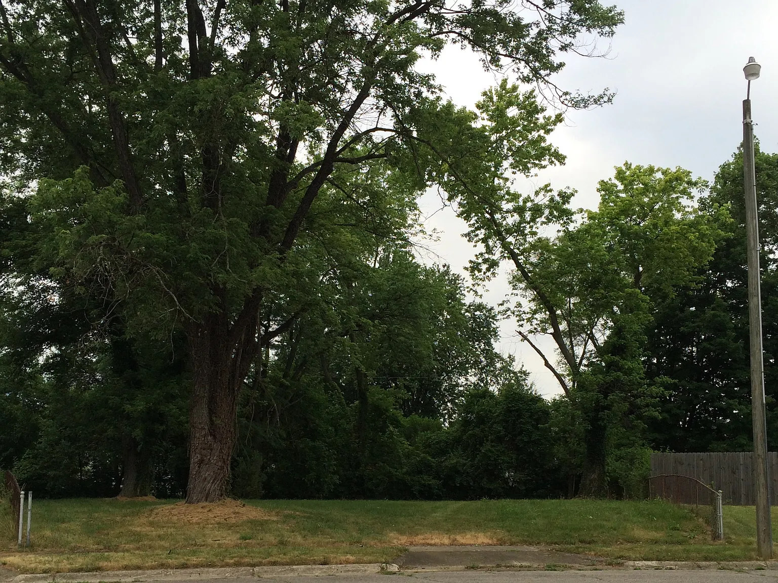 Latonia Ct photo 1
