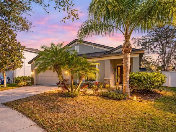 11652 Palmetto Pine St, Riverview, FL 33569