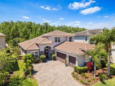 31050 Spruceberry Ct, Zephyrhills, FL, 33543