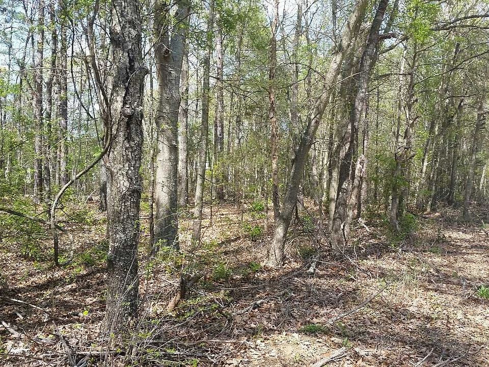 2nd image of 107 Foxhound Cir