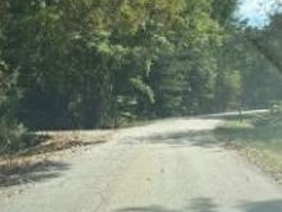 Exterior Neighborhood (street photo)