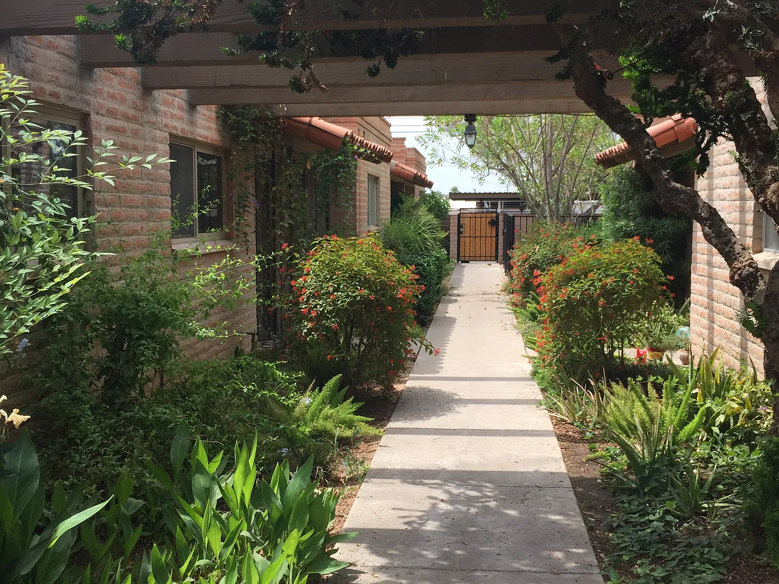 3631 E Monterosa St — Photo 3