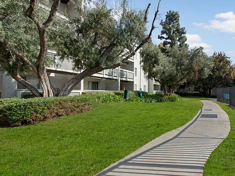Olive Ridge Apartments — Photo 26