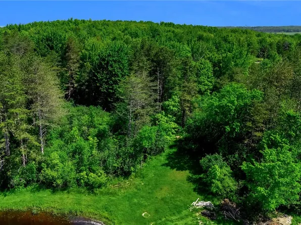 706 Jewett Holmwood Rd Lot 40, East Aurora, NY 14052