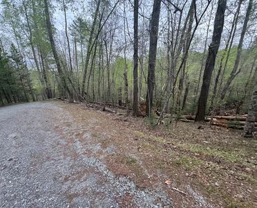 LOT 3190 Tivoli Ct, Ellijay, GA, 30540