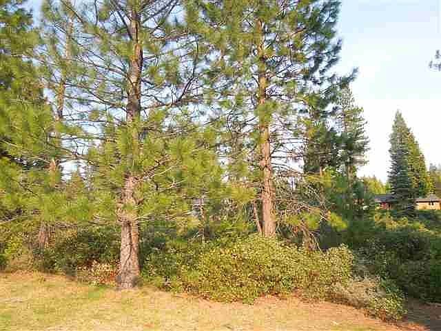 2nd image of 545 Red River Dr